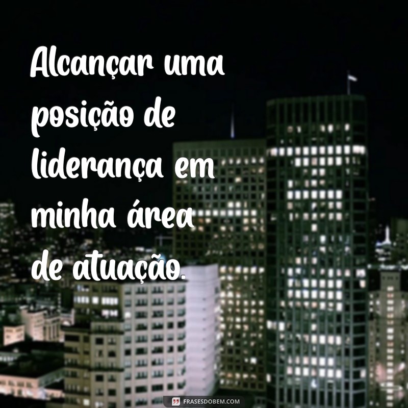 meus objetivos profissionais Alcançar uma posição de liderança em minha área de atuação.