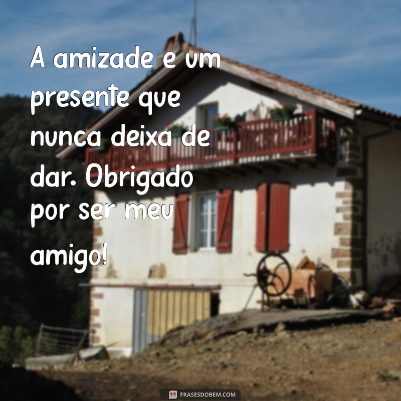 frases de agradecimento amigo A amizade é um presente que nunca deixa de dar. Obrigado por ser meu amigo!