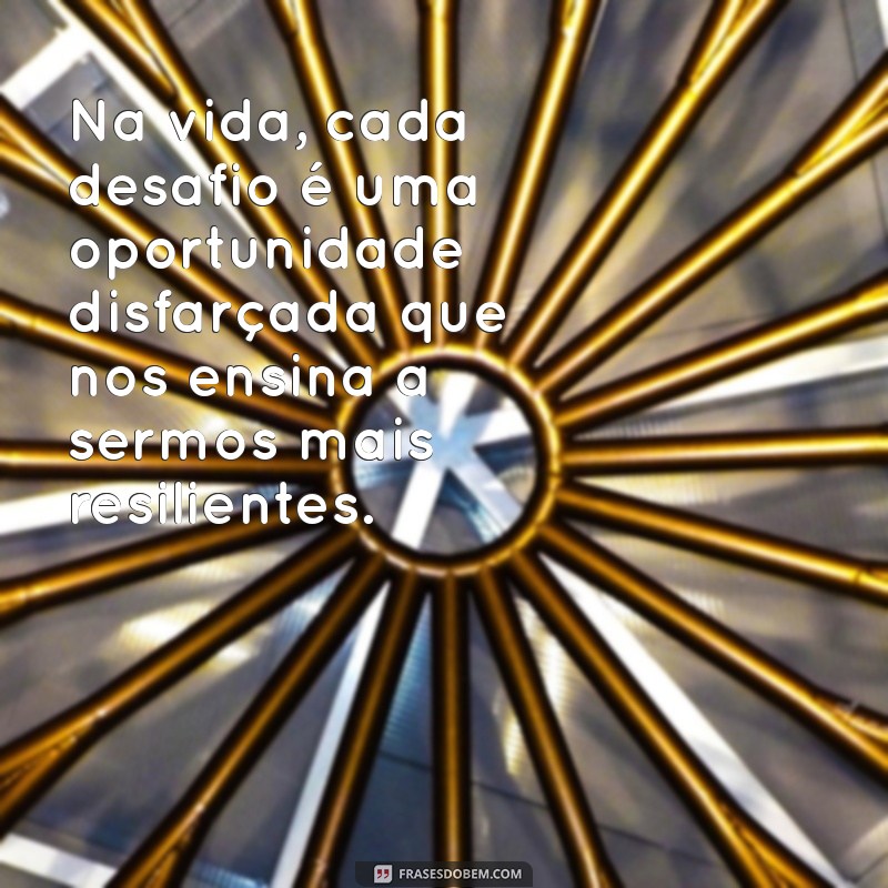 conclusões Na vida, cada desafio é uma oportunidade disfarçada que nos ensina a sermos mais resilientes.