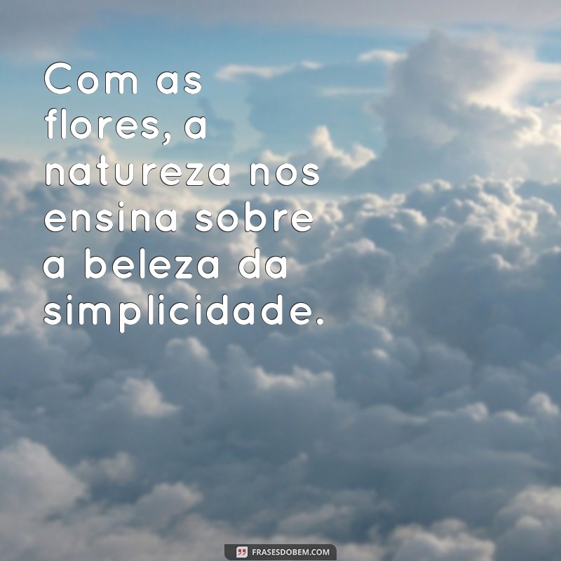 Descubra as mais belas frases sobre flores e se encante com suas palavras 