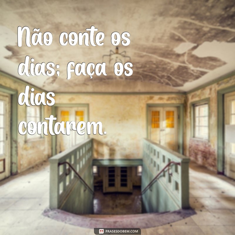 Frases Impactantes para Celebrar a Vida Louca e suas Aventuras 