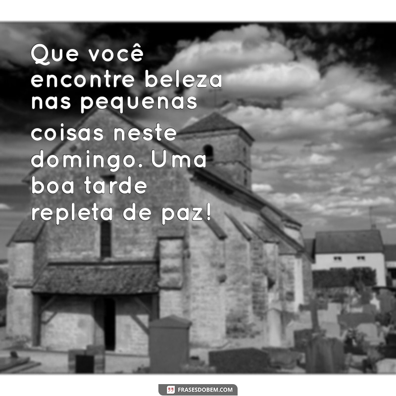 Frases Inspiradoras de Boa Tarde para um Domingo Perfeito 