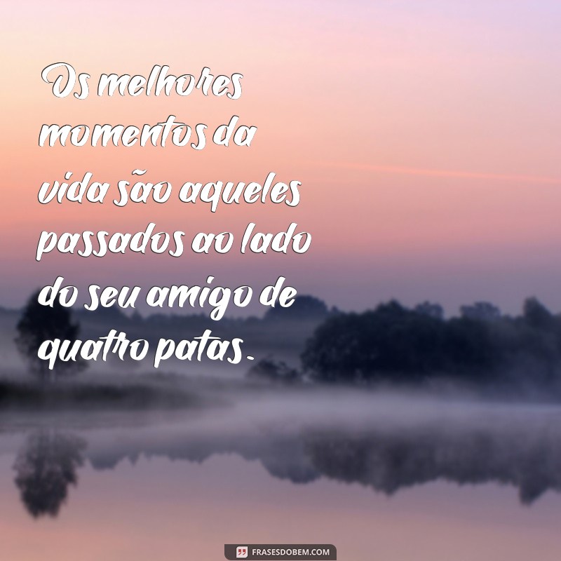 Mensagens Emocionantes para Celebrar o Amor entre Mães e Seus Pets 