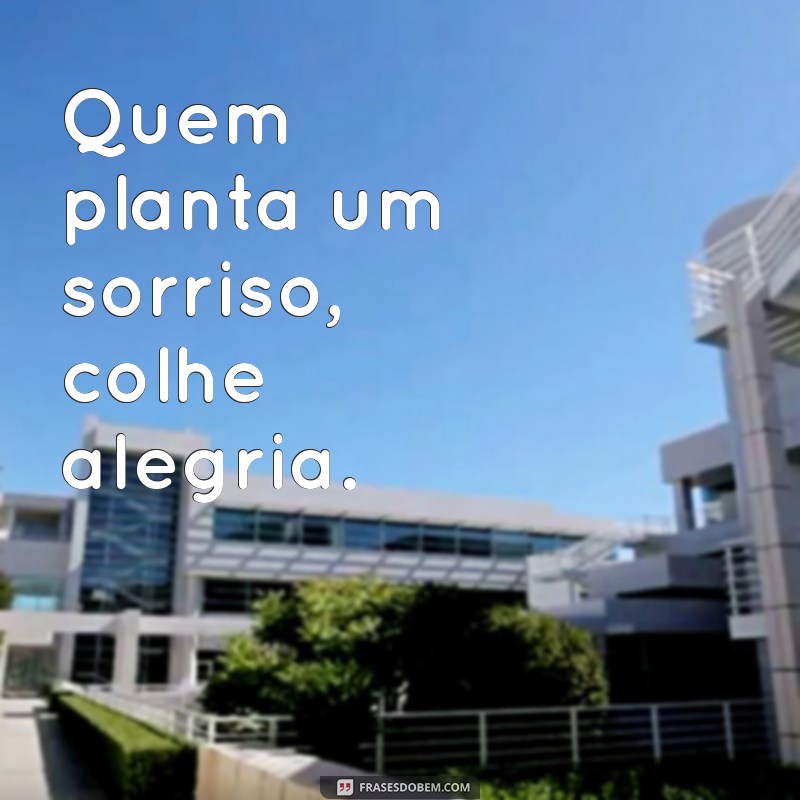 provérbios folclore Quem planta um sorriso, colhe alegria.