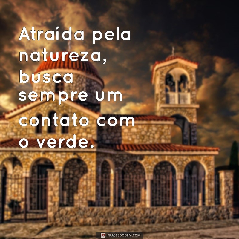 Descubra as Características Incríveis de uma Pessoa do Signo de Touro 