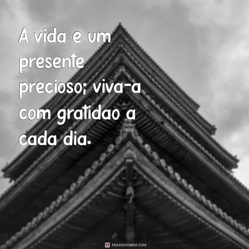 mensagem valorização da vida A vida é um presente precioso; viva-a com gratidão a cada dia.