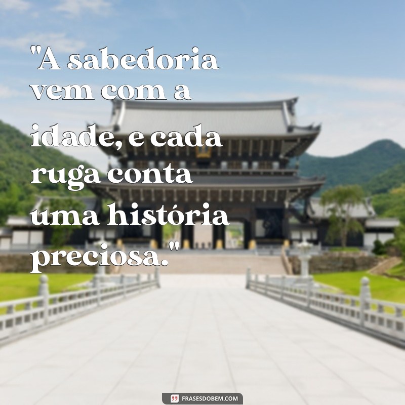 frases dia do idoso 