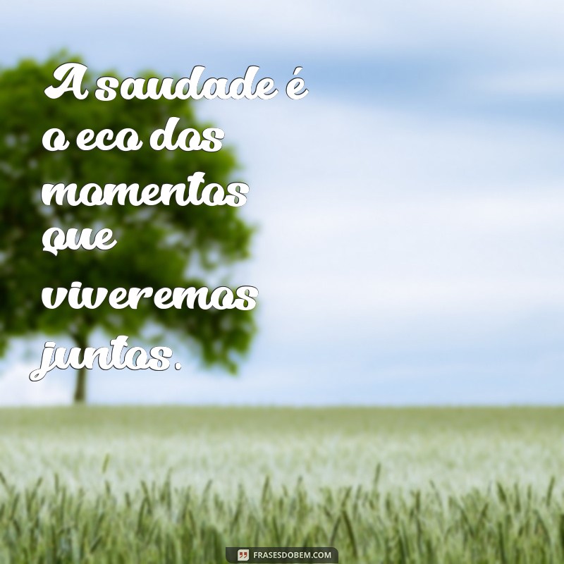 frases para quem ja se foi A saudade é o eco dos momentos que viveremos juntos.