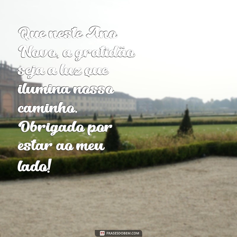 mensagens de agradecimento de ano novo Que neste Ano Novo, a gratidão seja a luz que ilumina nosso caminho. Obrigado por estar ao meu lado!