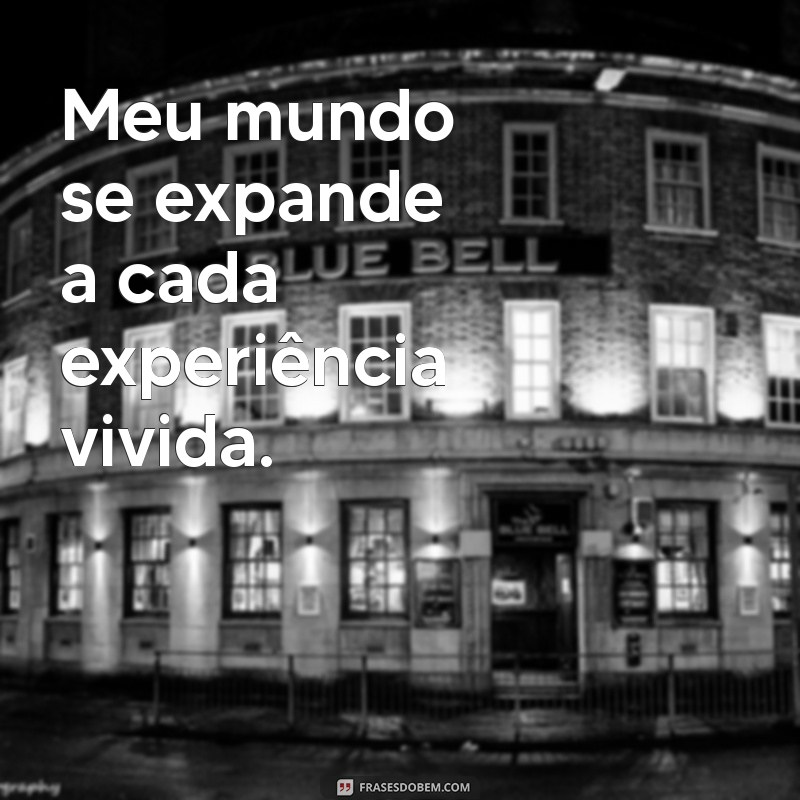 Análise Completa da Letra de Meu Mundo e Nada Mais: Significados e Interpretações 