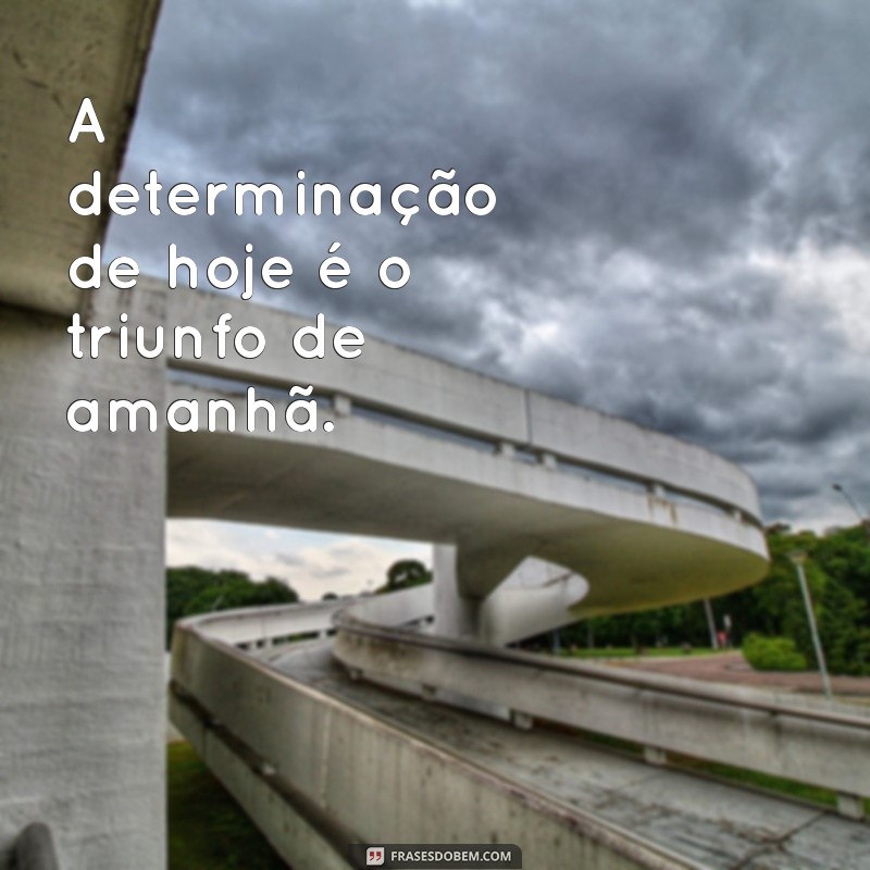 Frases Motivacionais para Estudo: Inspire-se e Aumente seu Desempenho Acadêmico 