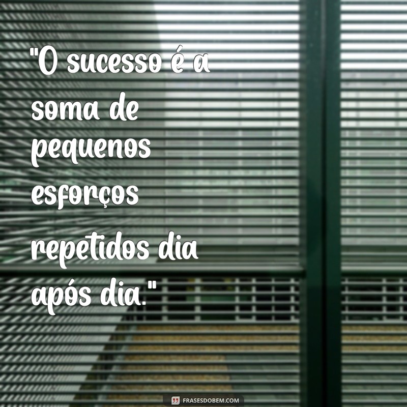 frases de estudo motivacional 