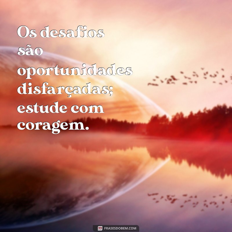 Frases Motivacionais para Estudo: Inspire-se e Aumente seu Desempenho Acadêmico 