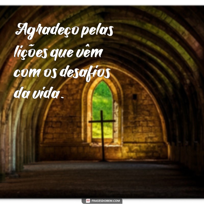 Mensagem de Agradecimento a Deus: Cultivando a Gratidão no Dia a Dia 