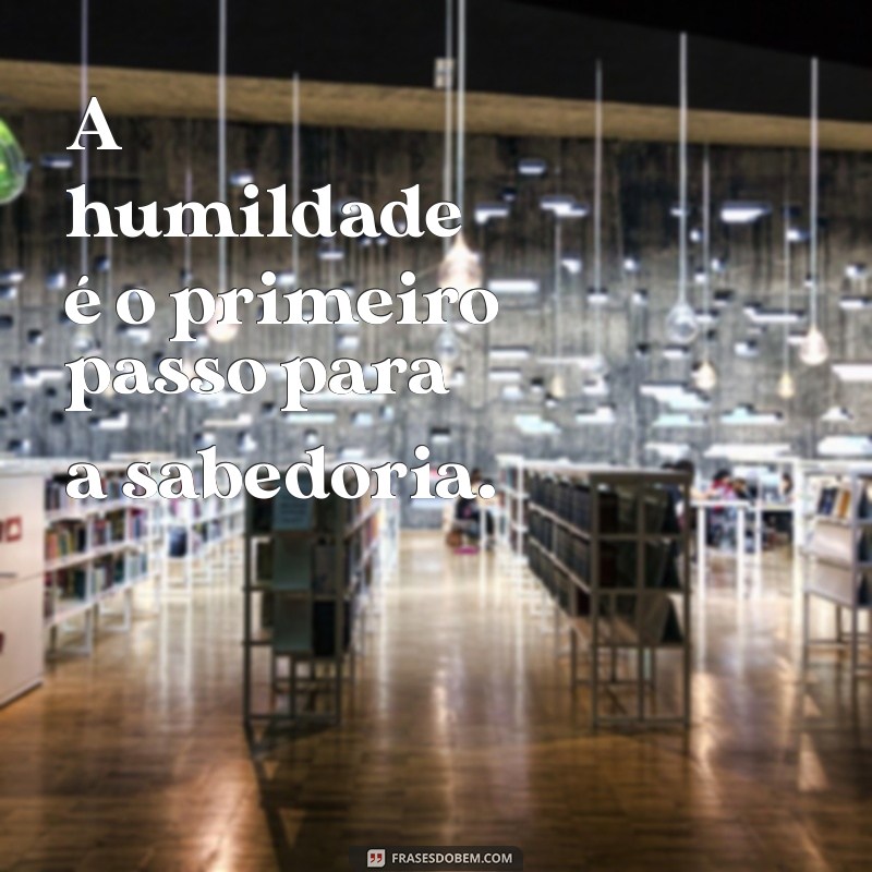 Frases Espíritas Curtas para Inspirar e Refletir 