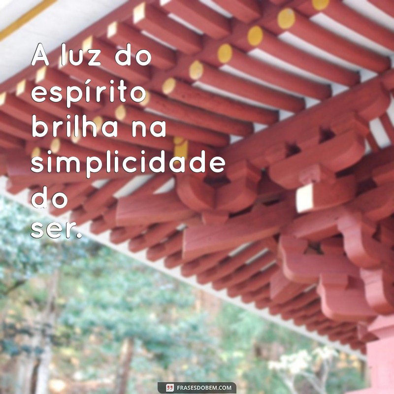 frases espírita curta A luz do espírito brilha na simplicidade do ser.