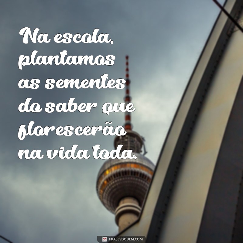 Frases Inspiradoras para Celebrar o Dia da Escola na Educação Infantil 