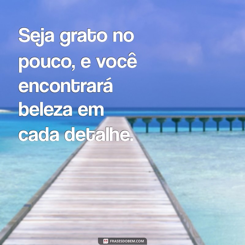 Como a Gratidão pelo Pouco Pode Transformar Sua Vida 