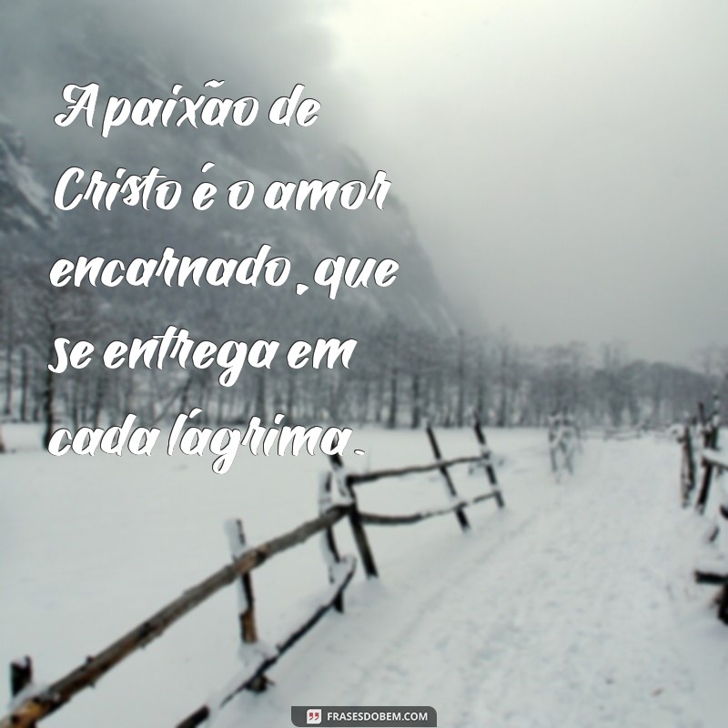 frases paixão de cristo A paixão de Cristo é o amor encarnado, que se entrega em cada lágrima.