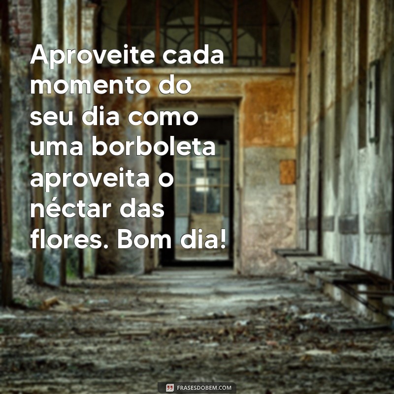 Frases Inspiradoras de Bom Dia no Recanto das Borboletas 