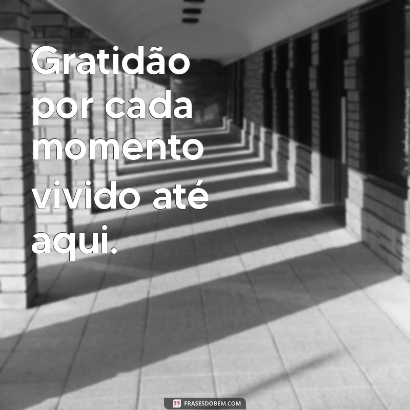 Melhores Frases para Legendar suas Fotos de Aniversário 