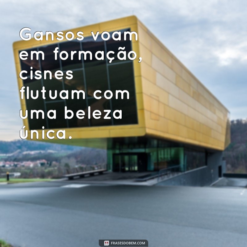 Descubra as Diferenças Entre Gansos e Cisnes: Características, Hábitos e Curiosidades 