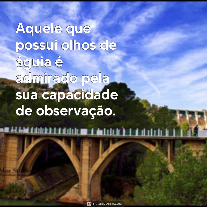 Descubra as melhores frases inspiradoras sobre a visão aguçada dos olhos de águia 