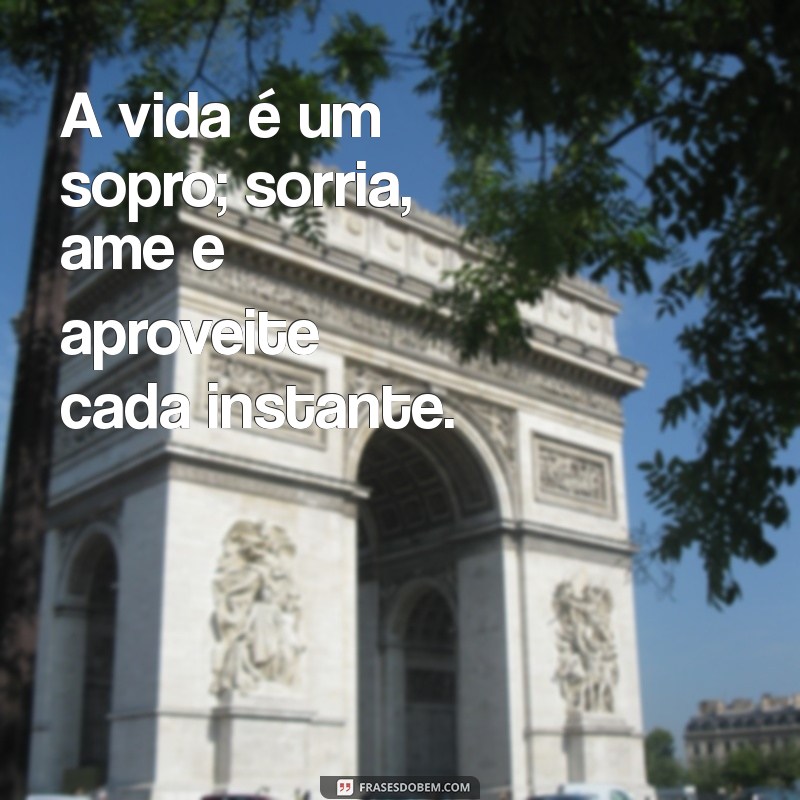 A Vida é um Sopro: Dicas para Aproveitar Cada Momento 