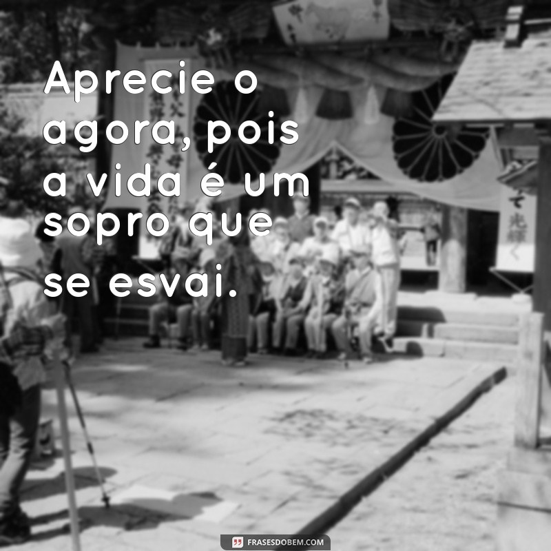 A Vida é um Sopro: Dicas para Aproveitar Cada Momento 