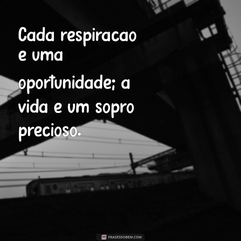 A Vida é um Sopro: Dicas para Aproveitar Cada Momento 