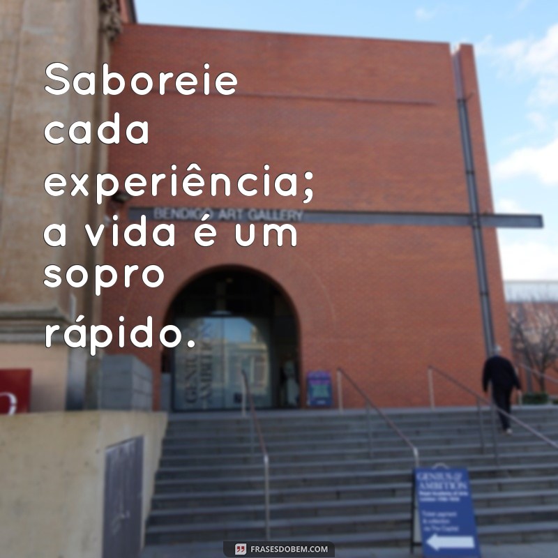 A Vida é um Sopro: Dicas para Aproveitar Cada Momento 