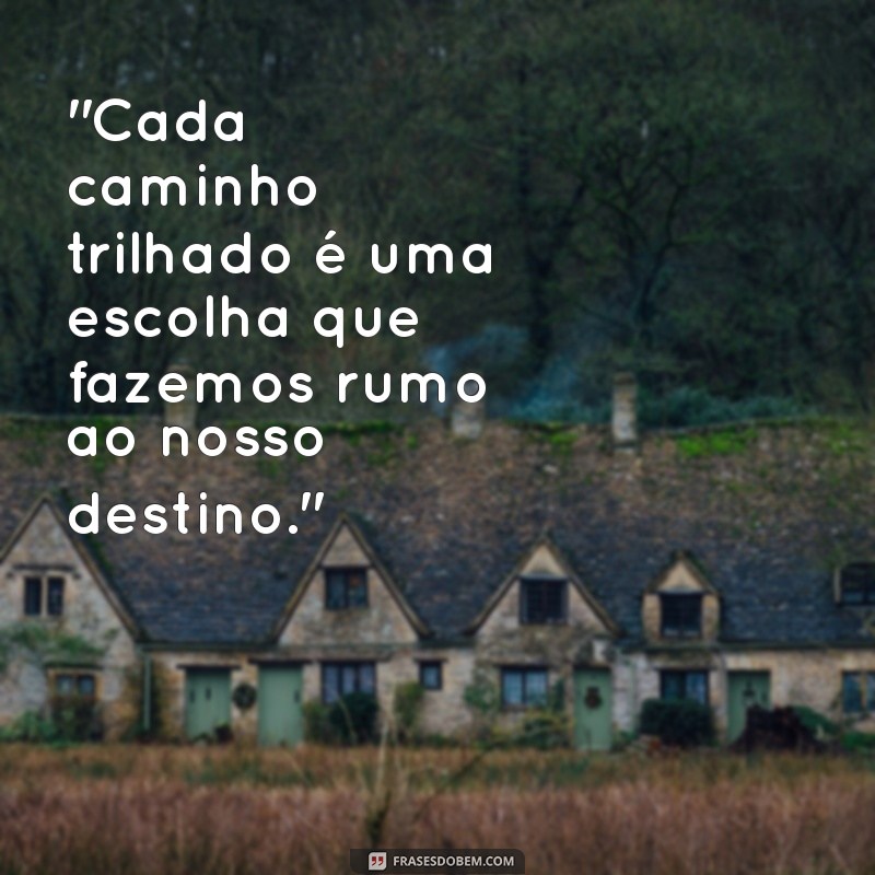 frases caminhos e escolhas 