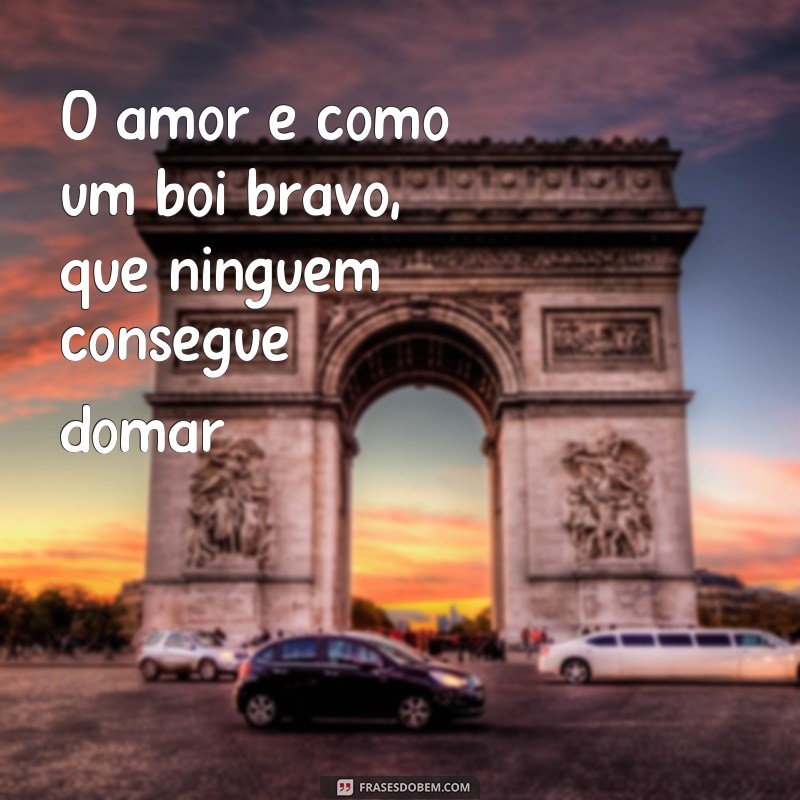 Descubra as melhores frases para se emocionar com a música sertaneja antiga 