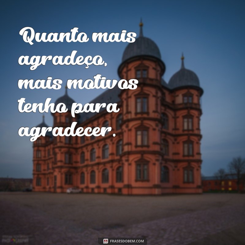 30 Frases Curtas de Gratidão para Inspirar Seu Dia 