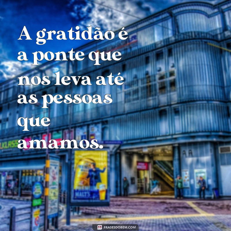 Descubra as melhores frases e provérbios de gratidão para inspirar sua vida 