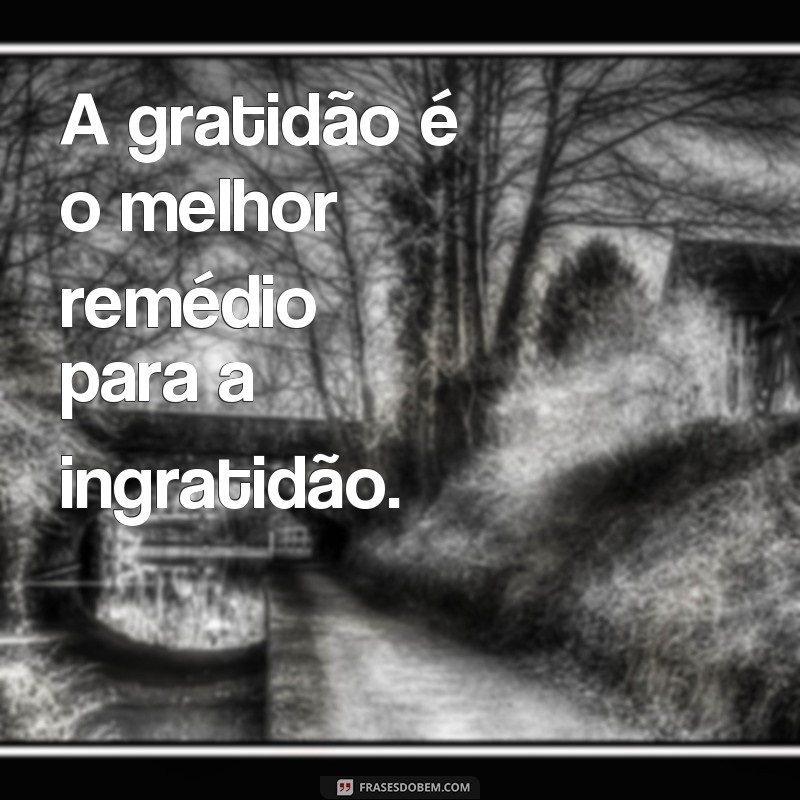 Descubra as melhores frases e provérbios de gratidão para inspirar sua vida 