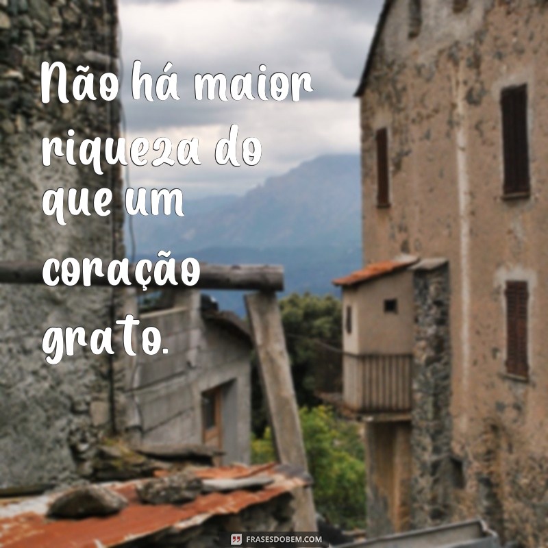 Descubra as melhores frases e provérbios de gratidão para inspirar sua vida 