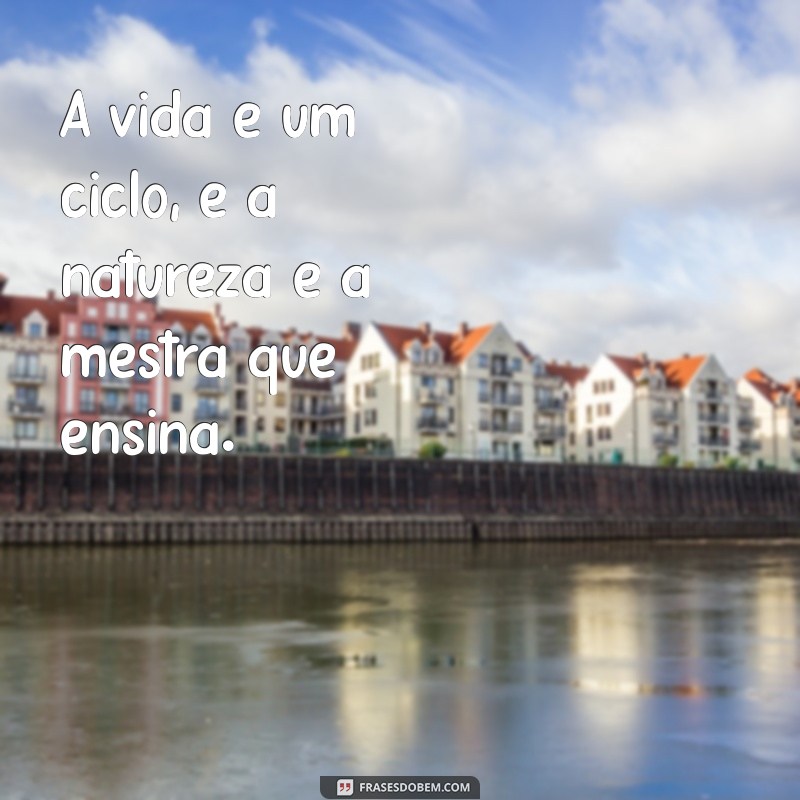 50 Frases Inspiradoras para Legendar Suas Fotos na Natureza 