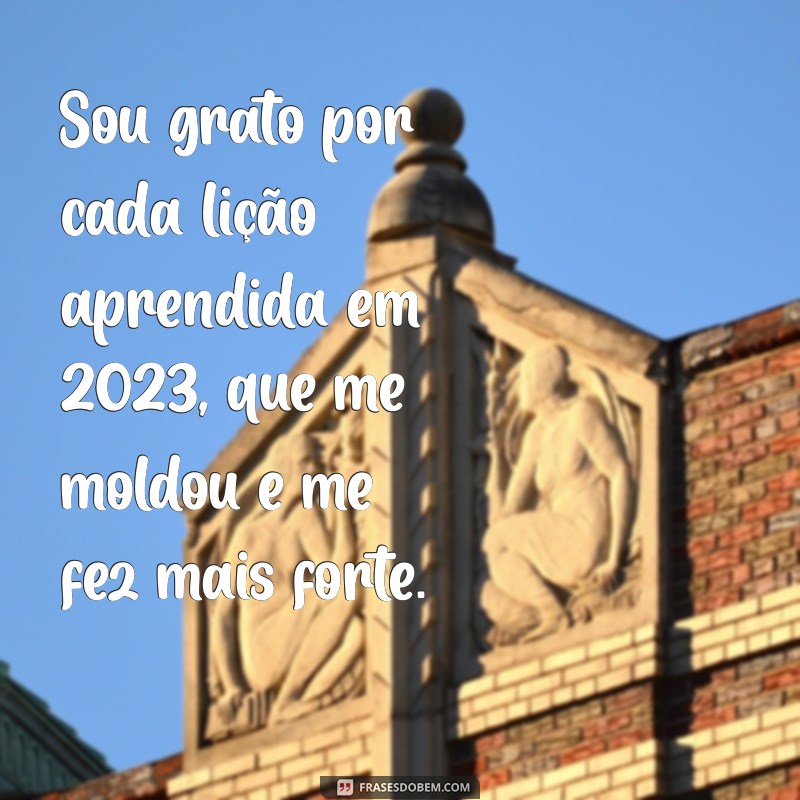 mensagem de gratidao pelo ano de 2023 Sou grato por cada lição aprendida em 2023, que me moldou e me fez mais forte.