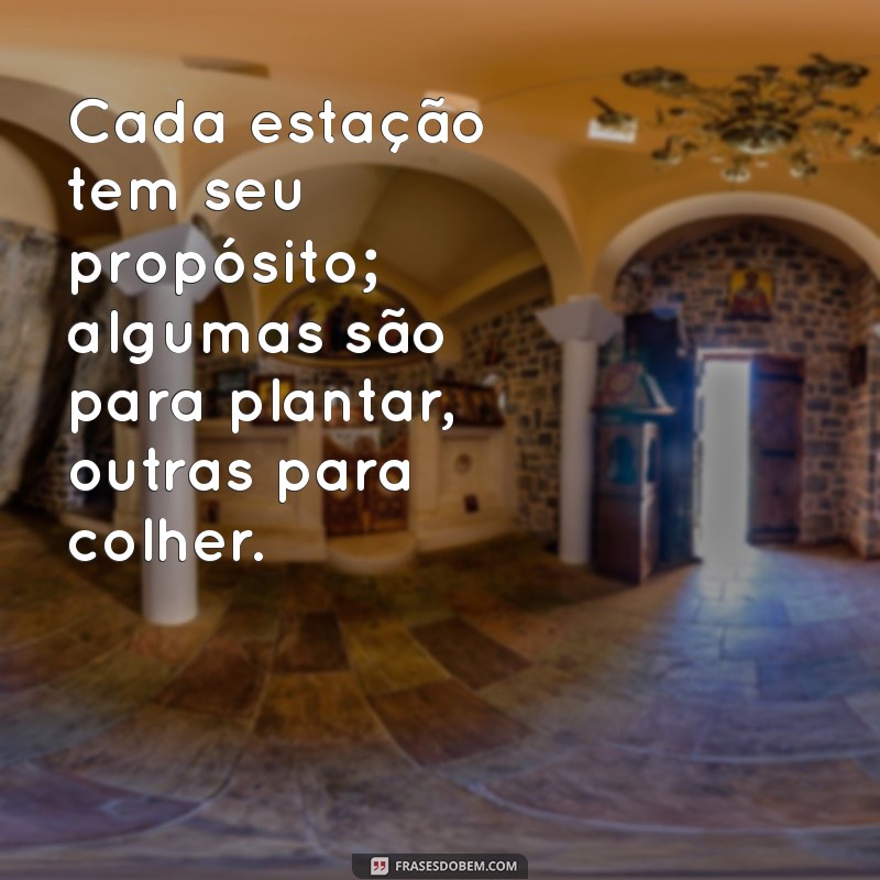 Tempo de Plantar e Colher: Aprenda a Sincronizar Suas Colheitas para Resultados Otimizados 