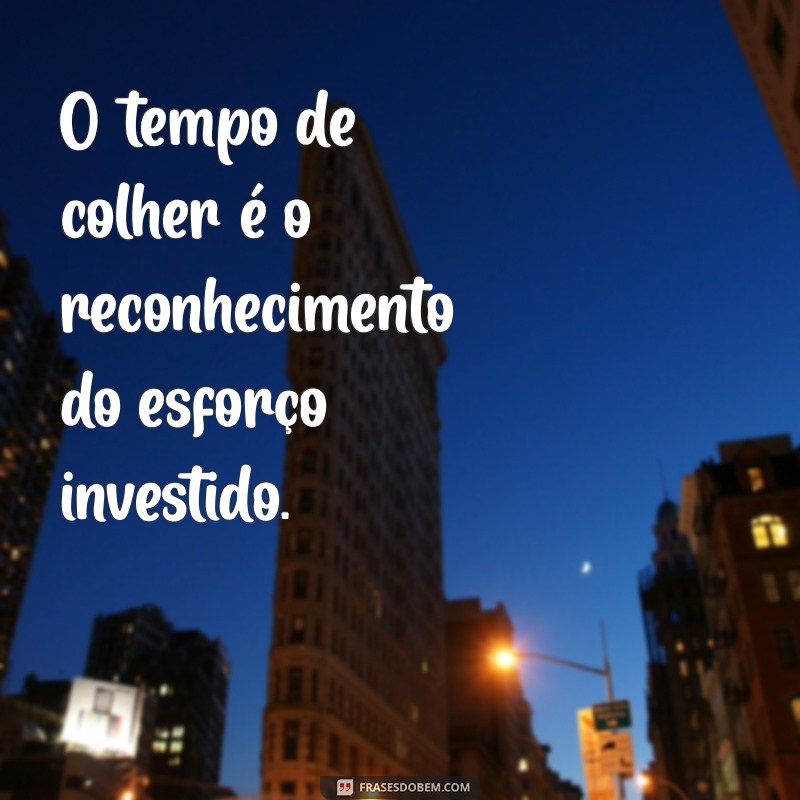 Tempo de Plantar e Colher: Aprenda a Sincronizar Suas Colheitas para Resultados Otimizados 