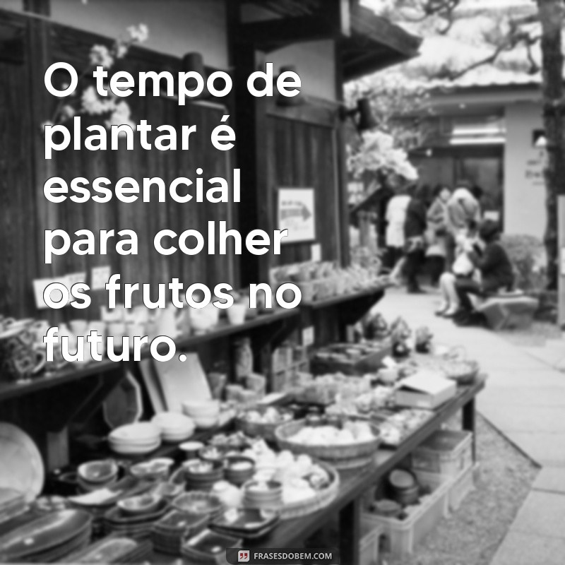 tempo de plantar e tempo de colher O tempo de plantar é essencial para colher os frutos no futuro.