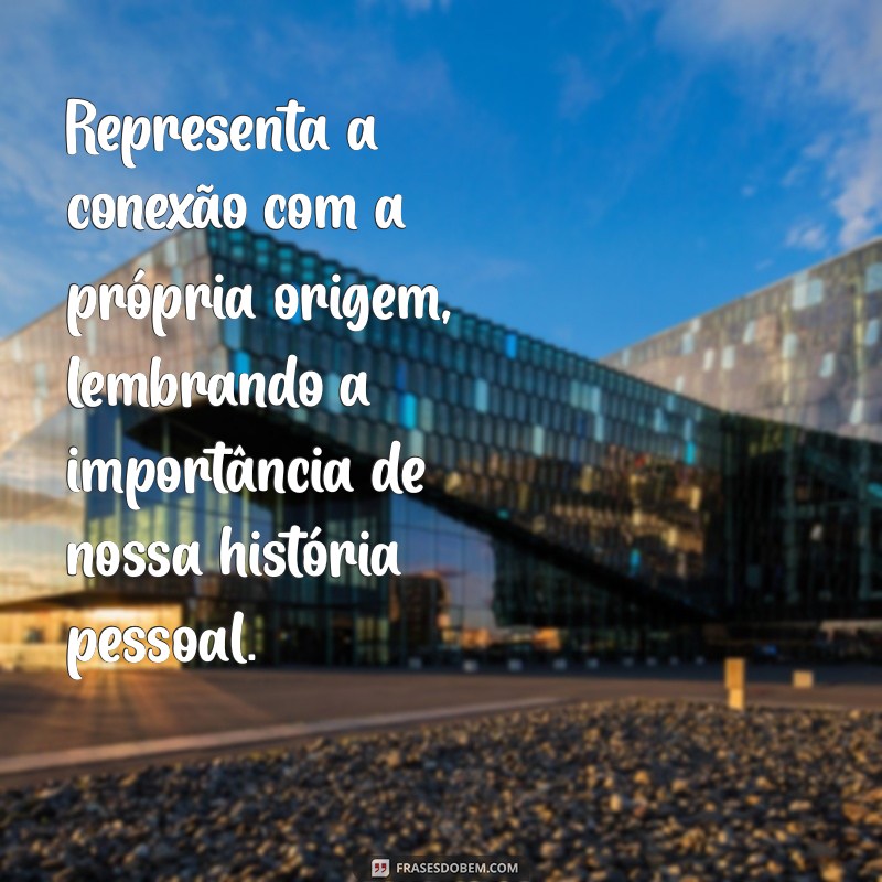 O Que Significa Tampar o Umbigo? Descubra o Significado e as Crenças por Trás Dessa Prática 