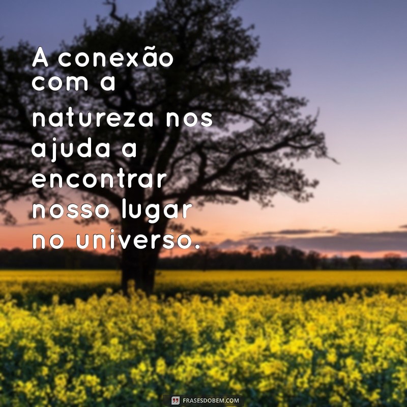 Descubra Frases Inspiradoras sobre Conexão com a Natureza para Revitalizar sua Alma 