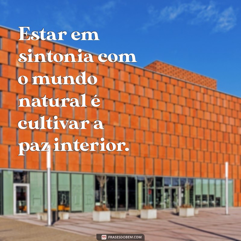 Descubra Frases Inspiradoras sobre Conexão com a Natureza para Revitalizar sua Alma 