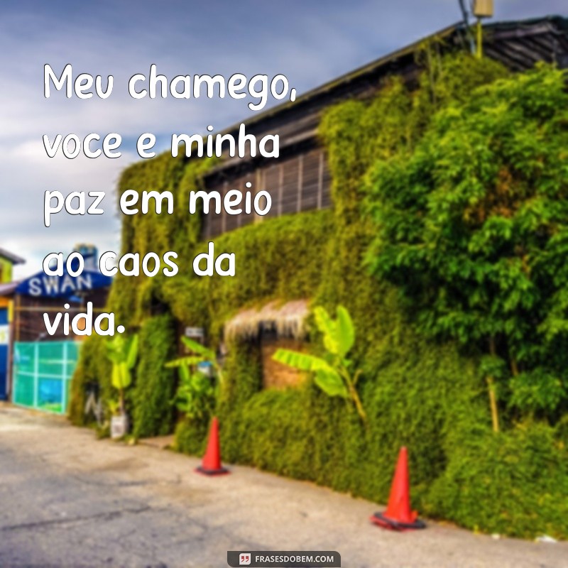 Descubra as melhores frases de chamego para conquistar seu amor 