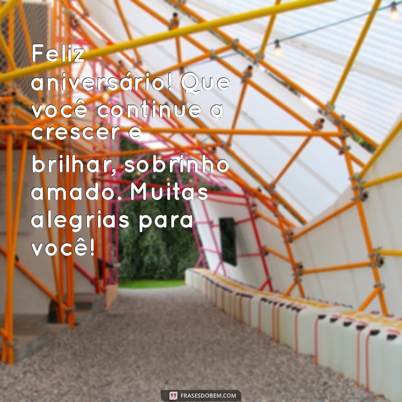 Mensagens Emocionantes para Desejar um Feliz Aniversário ao Sobrinho Querido 