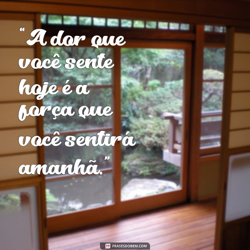 frases motivação treino “A dor que você sente hoje é a força que você sentirá amanhã.”