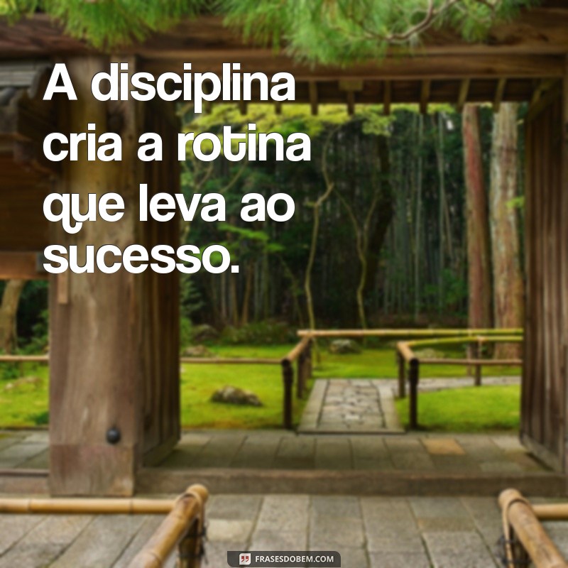 Disciplina: A Chave para o Sucesso Pessoal e Profissional 