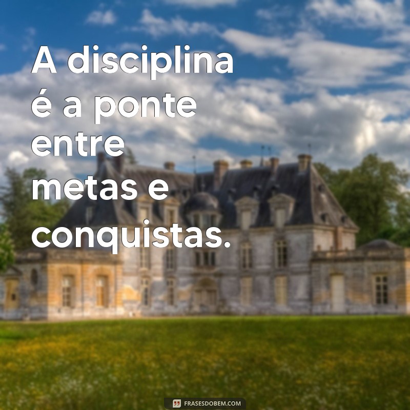 mensagem disciplina A disciplina é a ponte entre metas e conquistas.